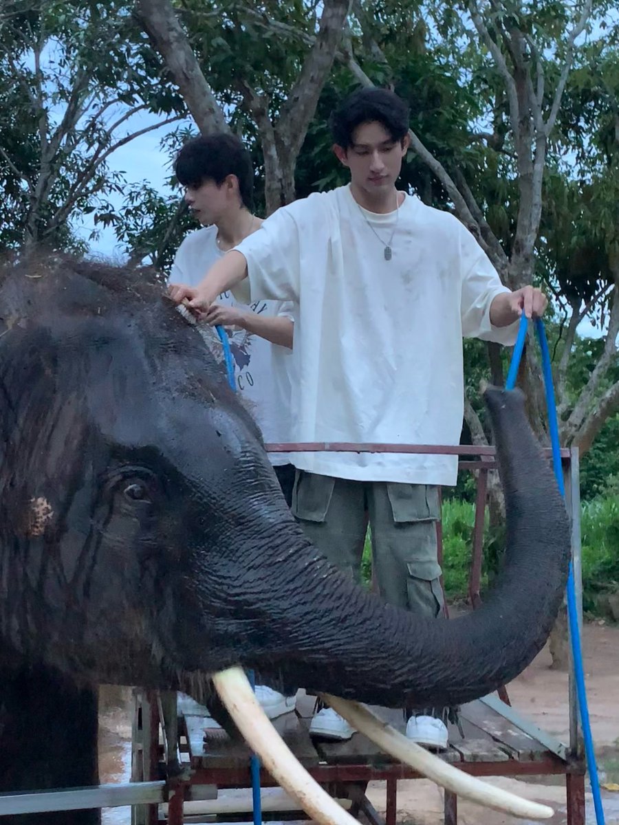 aeccesspassph's tweet photo. AYDENSNG Weibo Update:

"Checking in with July fragments
​#OnePlogToSayGoodbyeToJuly #SummerAdventure#" 

🔗 https://t.co/YaPgegy0tq

Don't forget to drop
🧡 Like -> comment -> share
#aylio | #政瞳
 #aydensng https://t.co/LK2VDjmZkJ