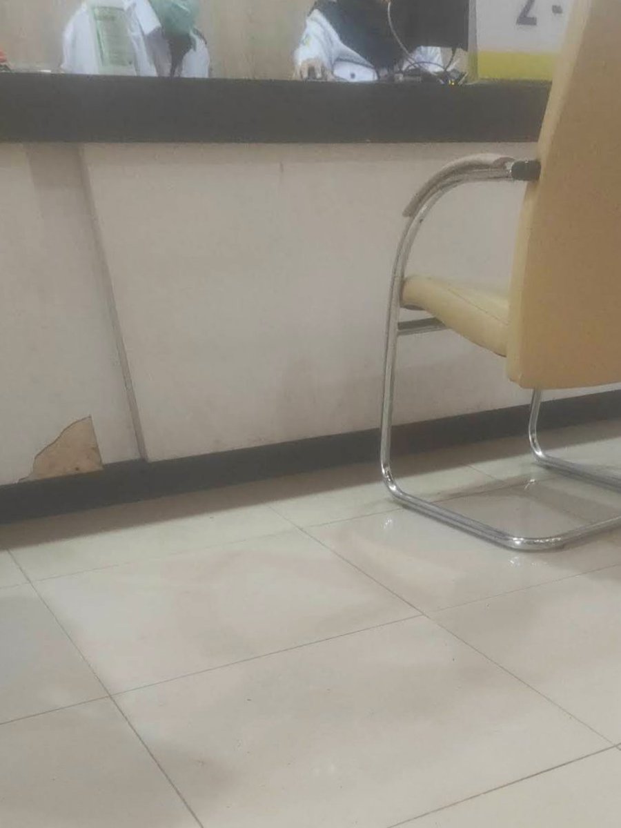 acquadivine's tweet photo. lah emang udah pernah kocak, gw dibawa nyokap ke RSJ untuk 'mengobati' ke-femboy-an gw🤣
tau apa kata psikiater ke nyokap? 

"maaf ibu, kalau untuk hal seperti ini (orientasi sex dan gender expression) tidak ada cara utk 'mengobati' nya. karena secara MEDIS memang tidak ada diagnosa yg menyatakan hal seperti ini adalah 'penyakit', ini hanya dianggap sebagai keberagaman variasi lain. mungkin ibu bisa coba alternatif lain secara SPIRITUAL"

gw pernah bilang bahwa, dulu keluarga gw queerphobic. karena gw sudah membuktikan ke nyokap bahwa bukan penyakit, makanya dari situlah nyokap mulai nerima, dan mulai gw jelasin pelan2 hal2 yg berkaitan dengan SOGIESC. 
gw sampe bisa di titik skarang juga butuh proses panjang dengan pembuktian2 brok.
dan ni orang dengan entengnya ngomong 
"kEk uDaH pErnAh kE pSikiAteR aJe" WKWKWK