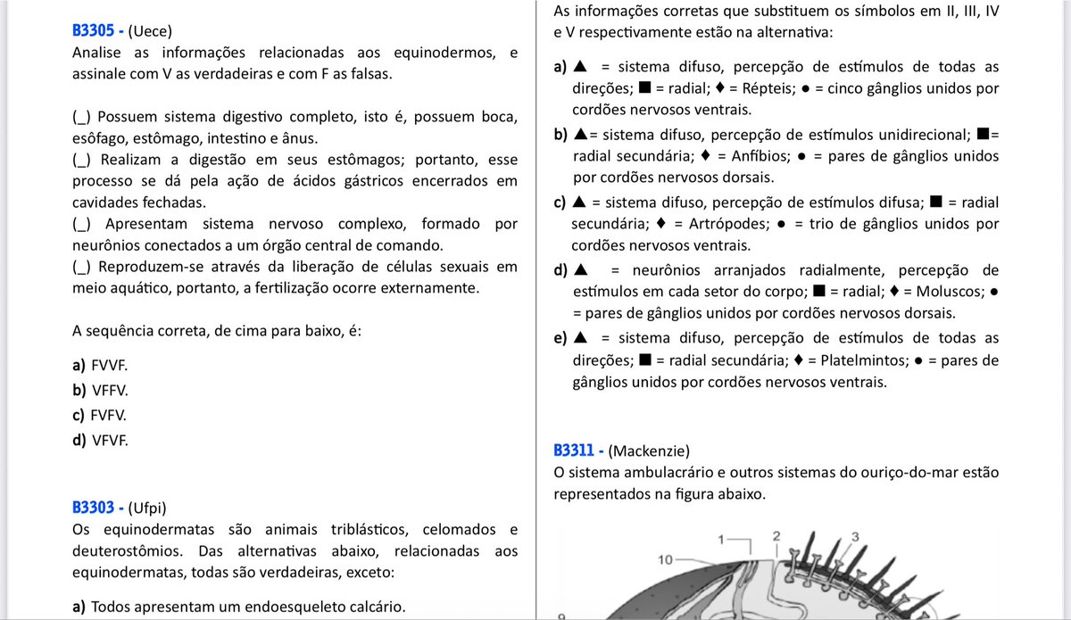 studytwtlu's tweet photo. bom diaaa com listinha de equinodermos https://t.co/TcpxmUVHVl