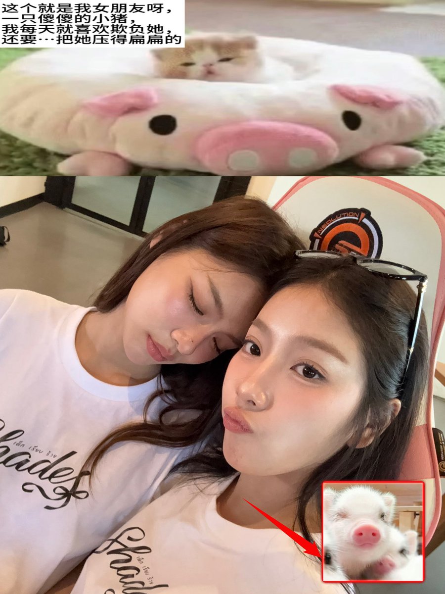 allromin's tweet photo. The kitten fell asleep with its head on its girlfriend's shoulder.🐾💤

#puyfaiploy 
#puyy_faii #jhutaa https://t.co/Ah4vtepeuM
