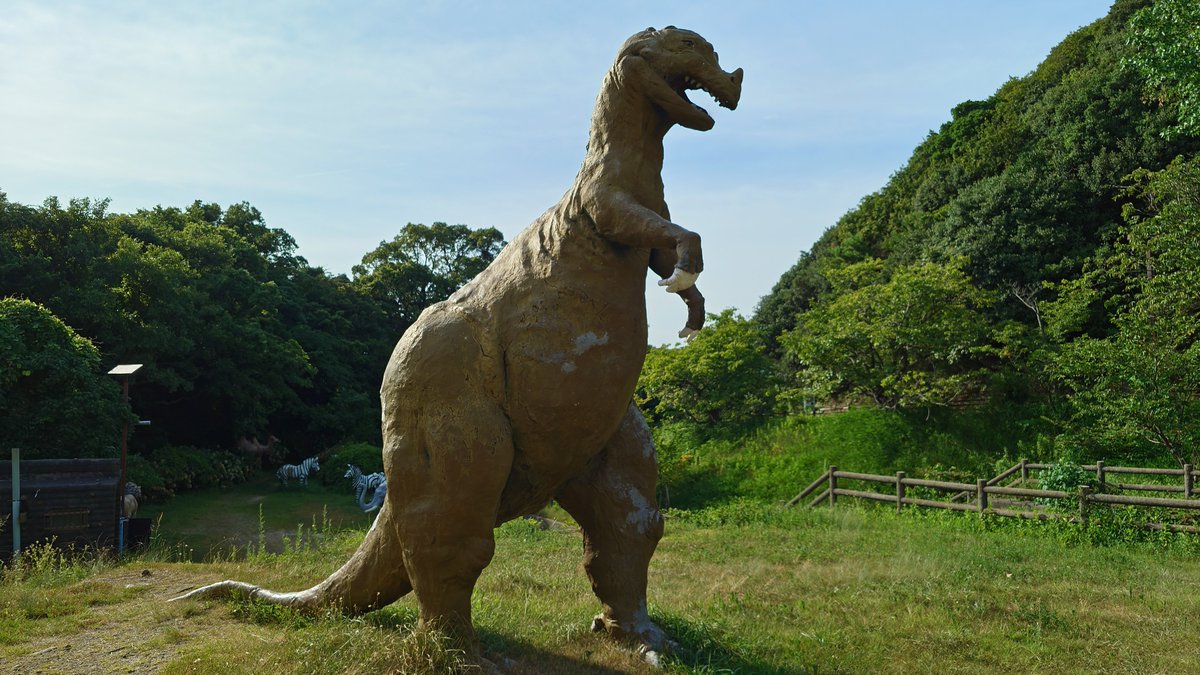 ReoTra810's tweet photo. 大川トンネ��から加太方面に向かわずに山側の道をずっと進むと、恐竜のオブジェがある"森林公園"に到着する

トリケラトプスの他、ディプロドクスやトリケラトプスやケラトサウルスのオブジェが、一昔前のイメージ図の状態で立っている https://t.co/371fOoeuTX