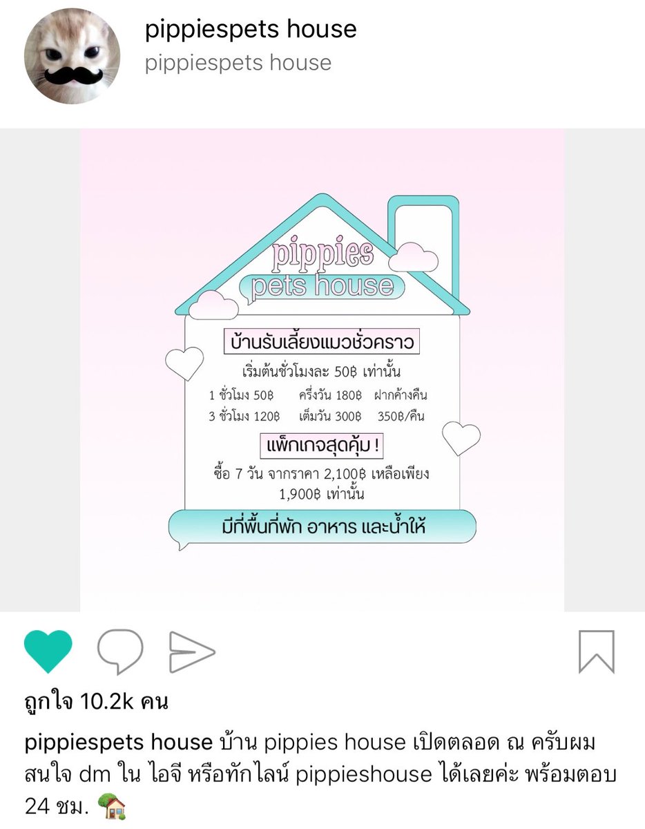 angnerator's tweet photo. เจ้าของร้านจะกินแมวมั้ย ???? https://t.co/7eLAA2HQw6