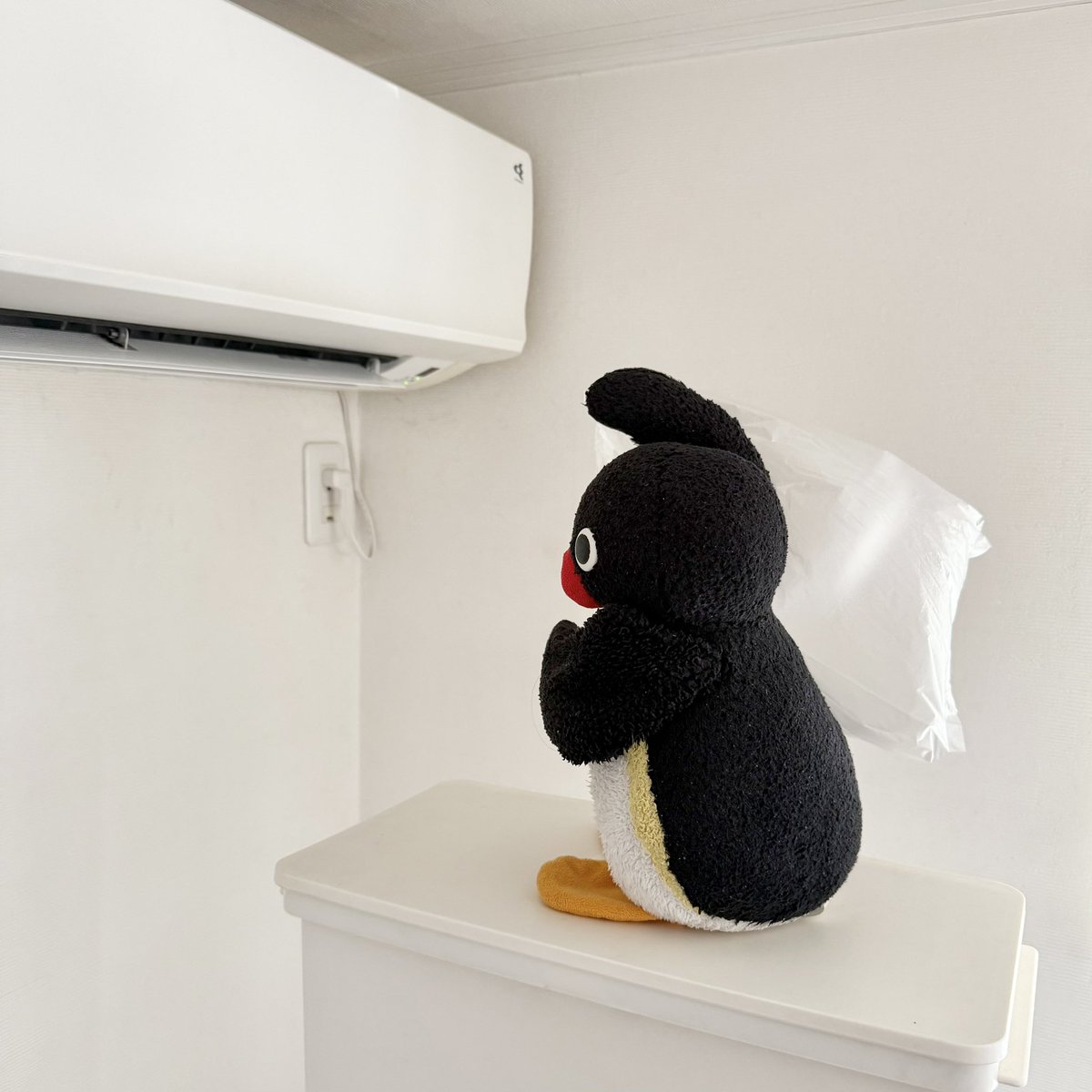 pingmyping's tweet photo. 🐧❄️ https://t.co/NKqNJYoY0m