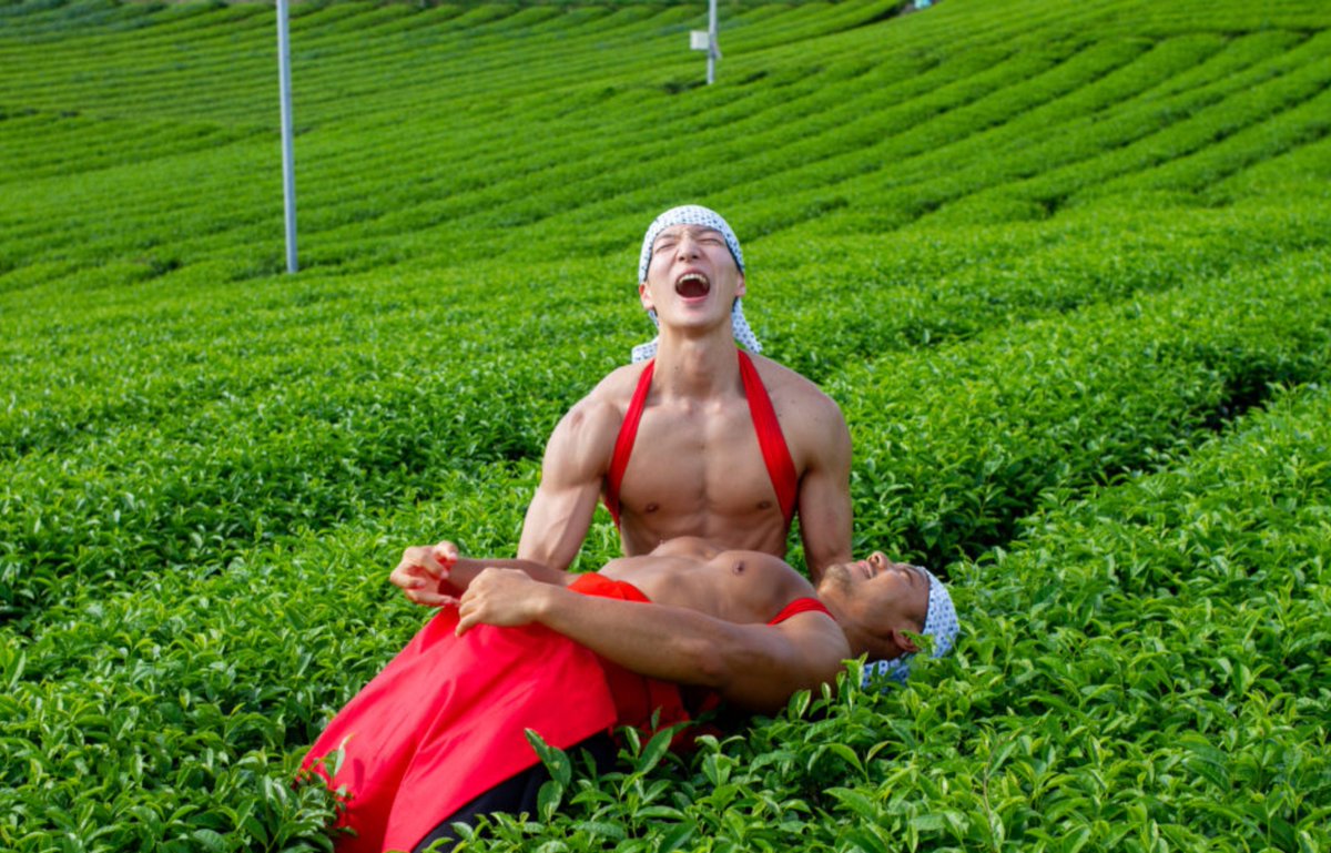 muscleplus_free's tweet photo. 誰か！プロテインをください！ https://t.co/B77AQdACxA