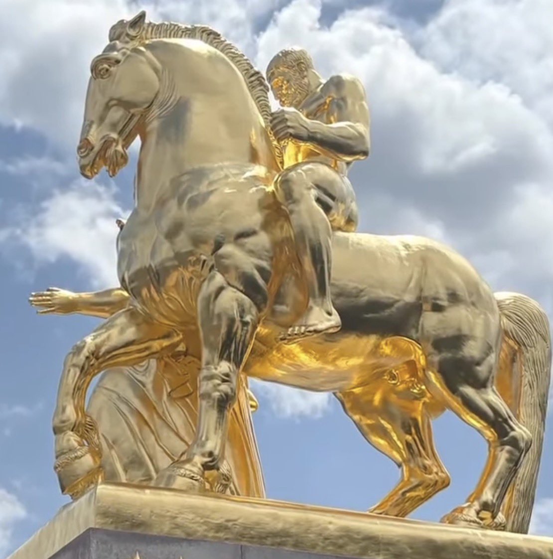 AntiTrumpCanada's tweet photo. True Story: Trump inspected the newly unveiled gold painted statue. The moment he reached the back, he saw his reflection. First time in history an enormous horse’s ass had an even bigger horse’s ass staring back at it. https://t.co/5OObO3EHnv