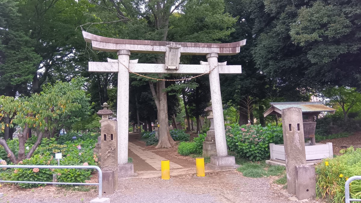 cogaino's tweet photo. さいたま市・指扇(赤羽根)氷川神社。指扇駅の東の住宅地に鎮座。拝殿西側に駐車場。南に伸びる参道脇には紫陽花が植えられていた。無人だが拝殿に案内があり、1.5km程北にある秋葉神社で御朱印を書き入れして頂いた。 https://t.co/NJ1p06DGZm