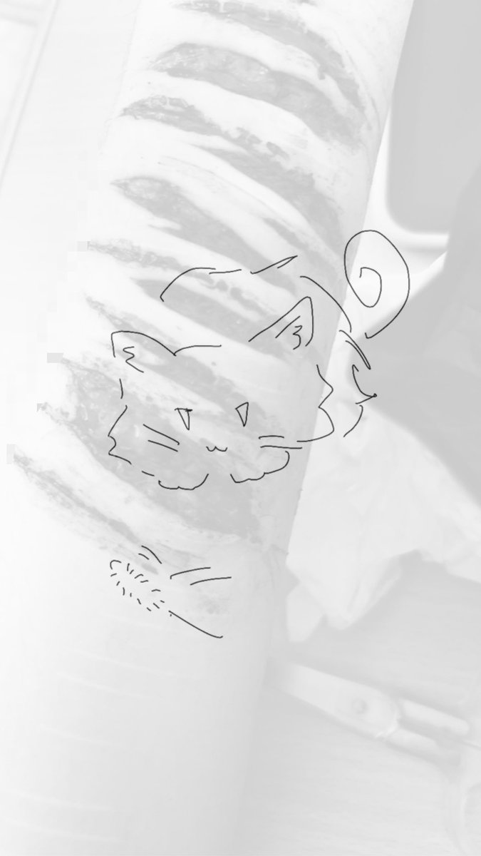 kyou_0207's tweet photo. https://t.co/QAUOveXt3p