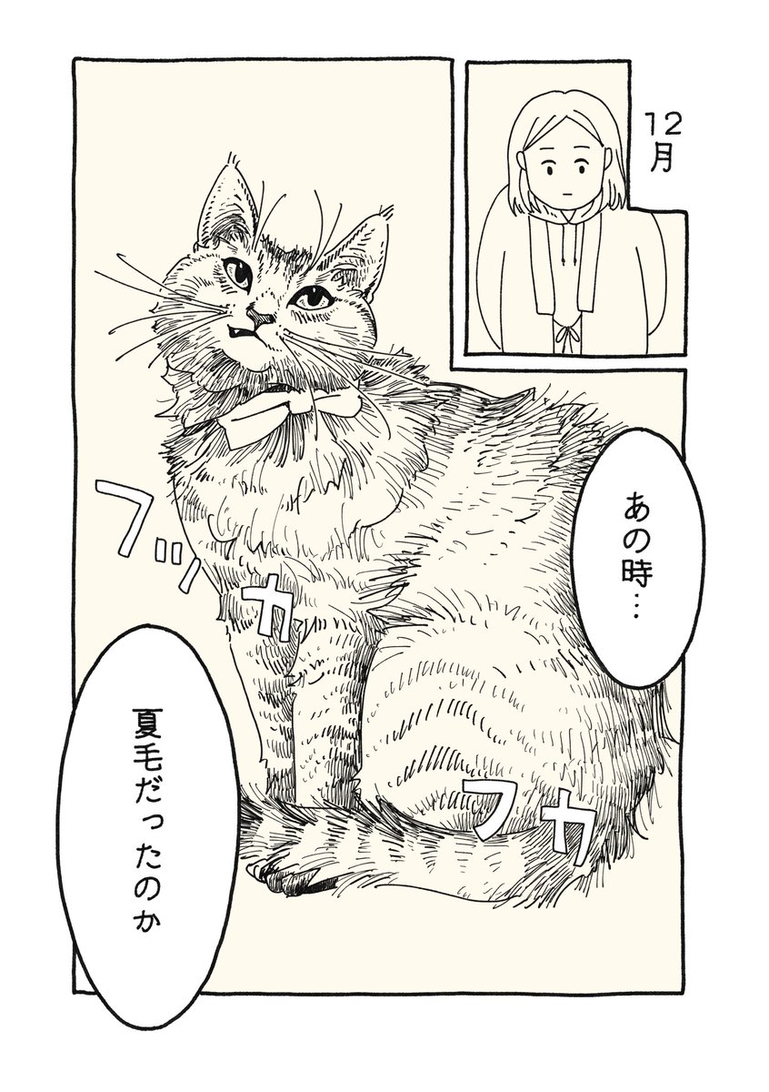 koma7sai's tweet photo. 毎年思っていること https://t.co/AnrrQlPAaf