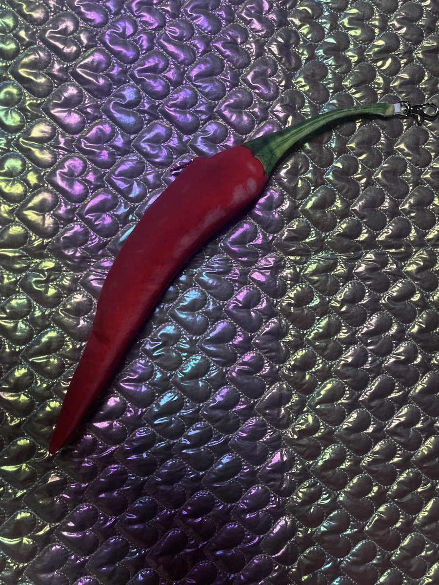 2dmsyoten's tweet photo. @ashitabaya8jo さまの唐辛子を作らせていただきました🌶️✨
店舗の方に飾って？頂けましたー🥰
嬉しい🥺

そして、なんと二度見商店のチラシまで置いてくださいました🥹
素敵に飾っていただき、本当にありがとうございます！

お近くへ行かれた際は、ぜひ覗いてみてください😊🐟
でか唐辛子可愛いよ🌶 https://t.co/9RfQZJ7hP6