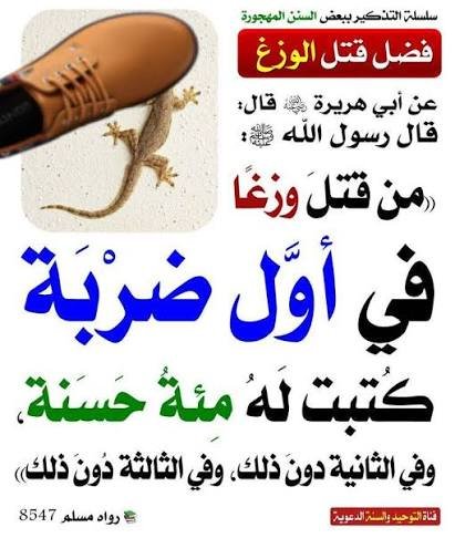 muhd2009's tweet photo. @AliSharafA92991 السعودية دوله مسلمه وتحب الخير لي الجميع. وتبي الدول تكسب أجر
تقتل حوثي تجيه مئة حسنة عشان الحوثي مثل البرص صغير ونجس
عرفت الان ليه ؟🦎 https://t.co/gLcriwLbki