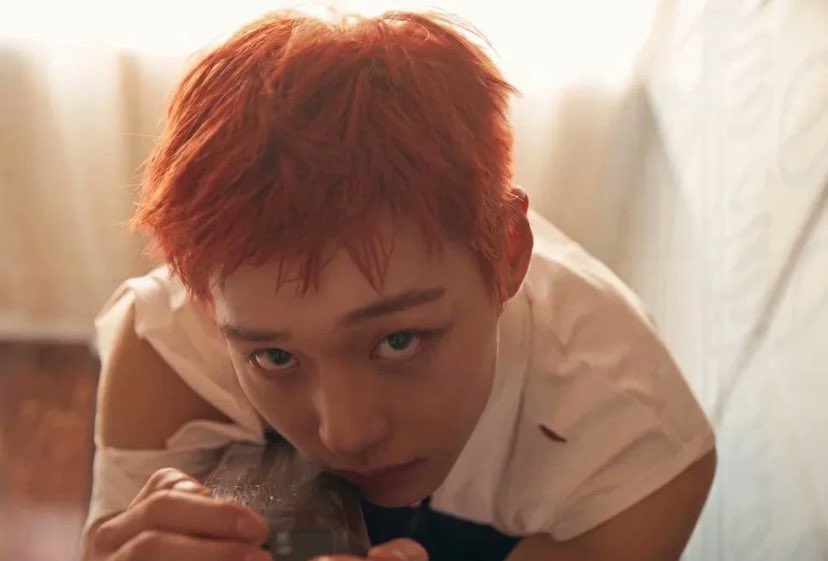 swiftiesieun's tweet photo. he nuzzles his face and rubs his cheek against it before doing the thing btw https://t.co/GwjinijOQG
