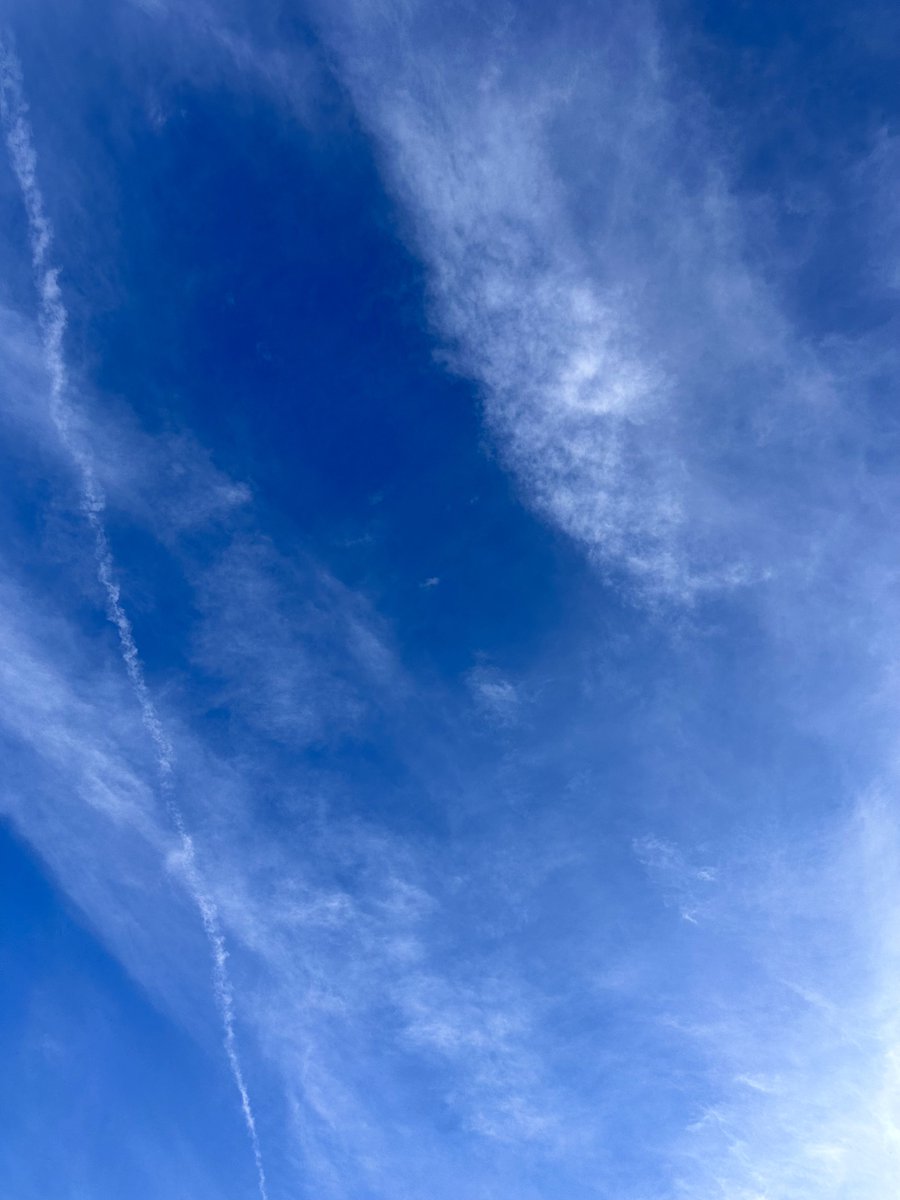 Korosuke74's tweet photo. 青モグだぁ!!
 #空  #雲  #青モグ https://t.co/1CkH7Ig3gp