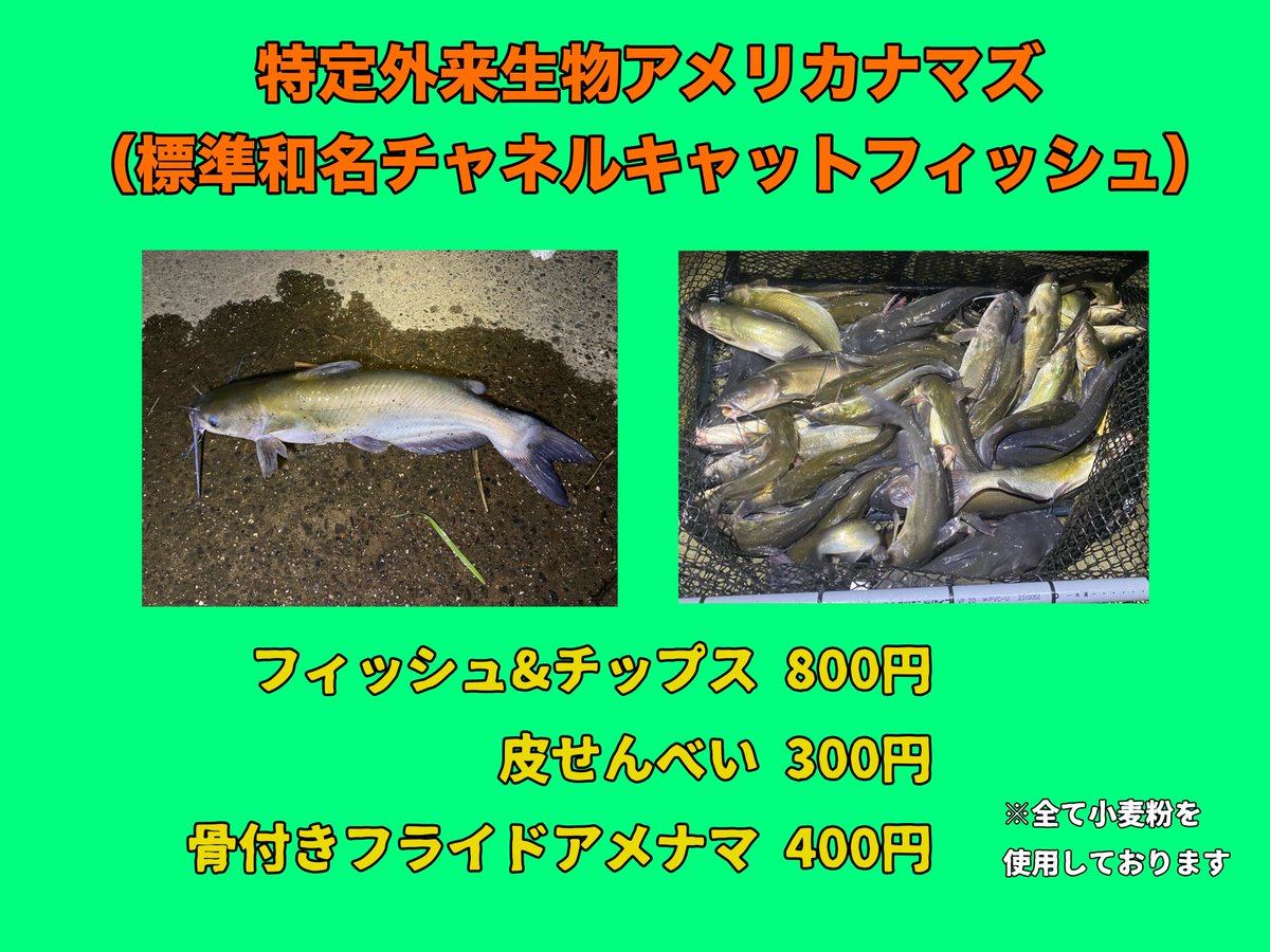 hattori95's tweet photo. 明日の生フェス、メニュー表です。キッチンカーそのものは12:00スタートを予定しております。ステージは、キッチンカー告知を兼ねた小ネタ披露が11:40〜11:50、本ネタ披露、トークショーが15:10からです！ https://t.co/Zp3JCQJVYC
