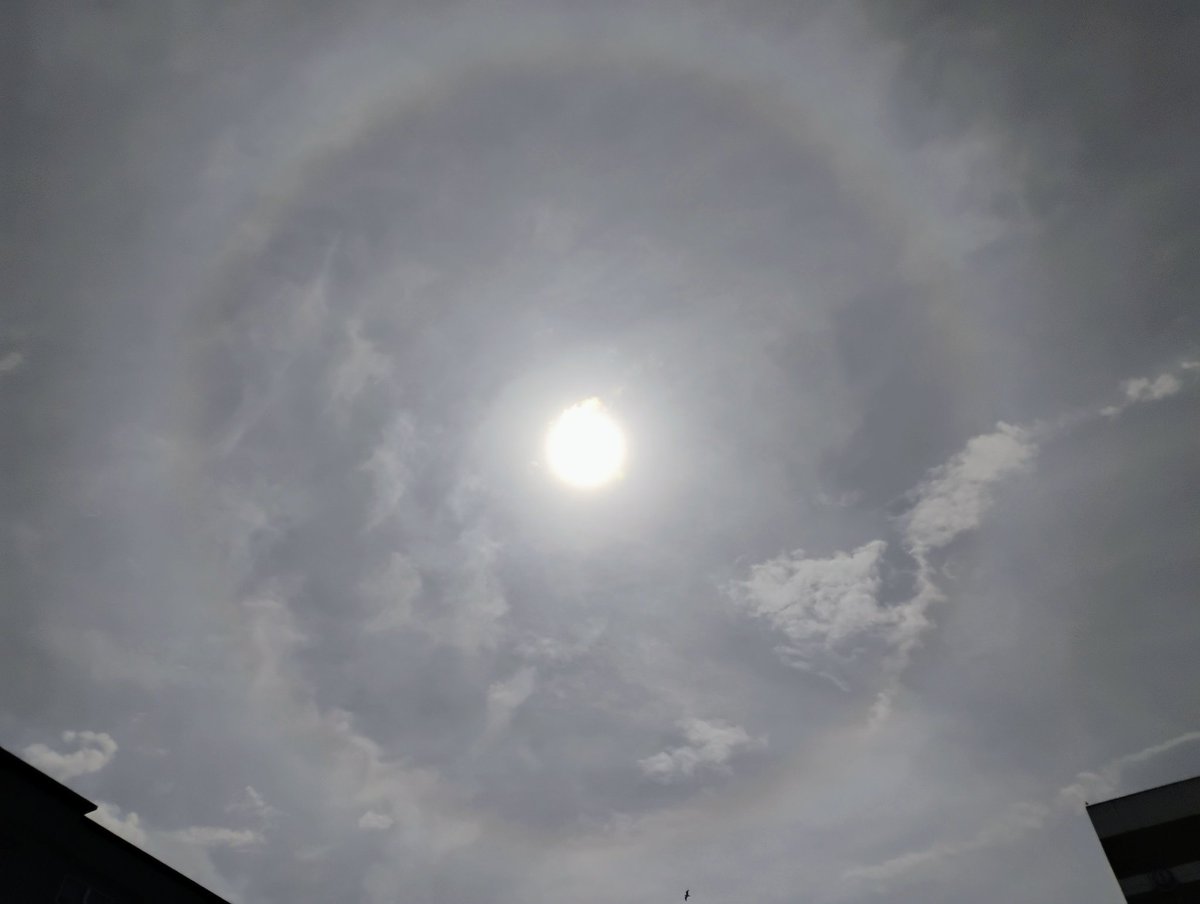IsaacSteve70770's tweet photo. Halo around the sun https://t.co/gyfuo3KEFj