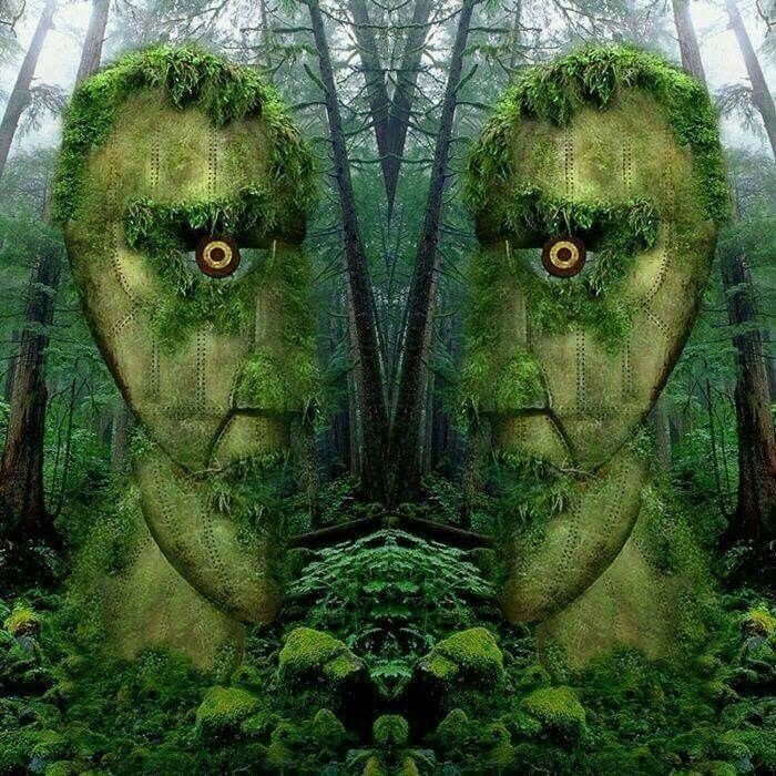 Just_pinkfloyd's tweet photo. https://t.co/SNWwJgdsUf