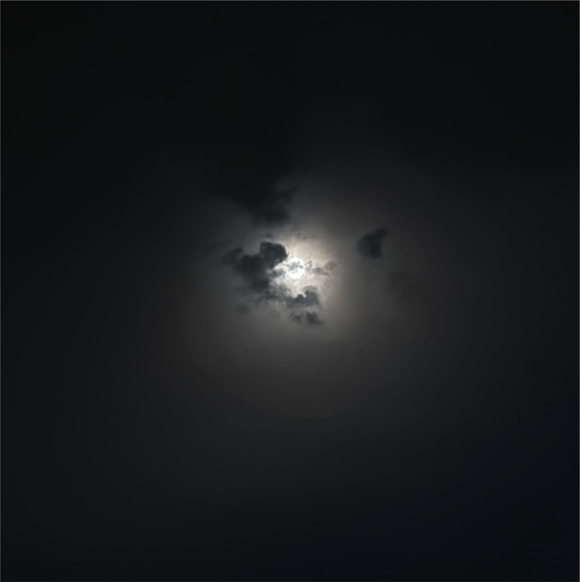 pool__1123's tweet photo. 🌛 https://t.co/sJ3CFymHlX