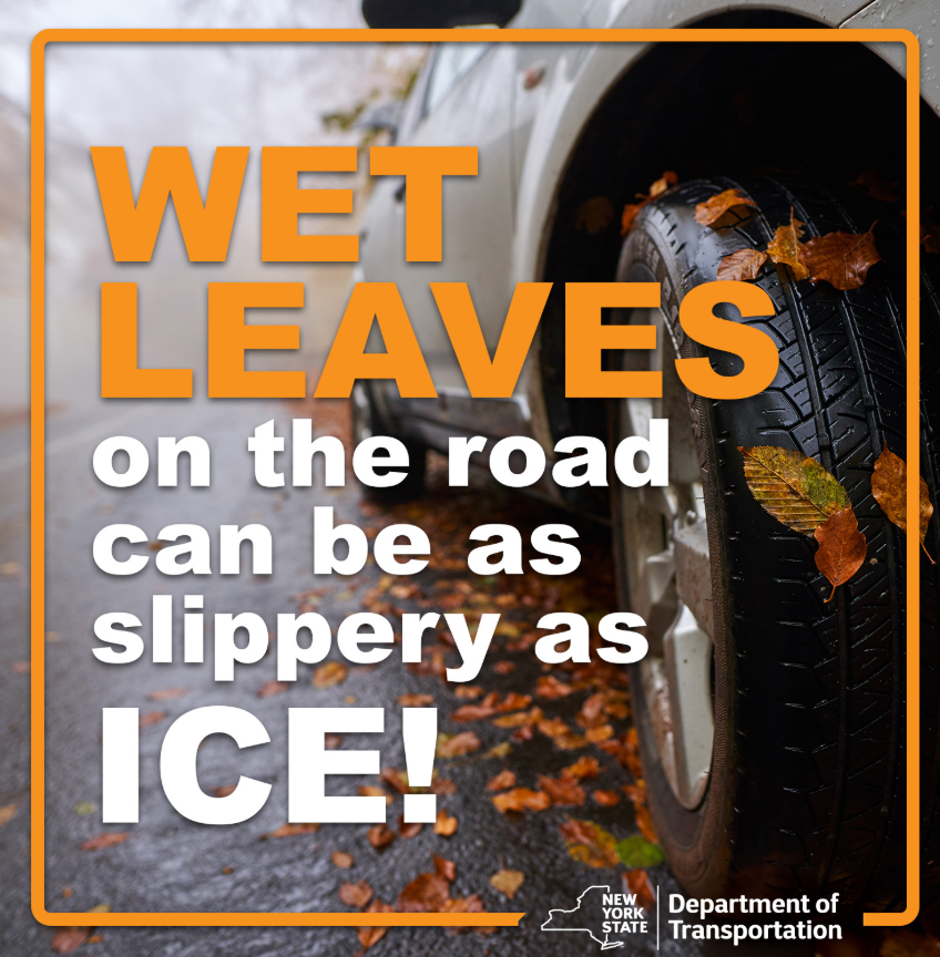 NYSDOTHV's tweet photo. 'Tis the season for wet roadways!

It's not just the rain that you should be aware of, but the leaves too. We leaves on the road can be as slippery as ice! https://t.co/XKvLpgz7Di