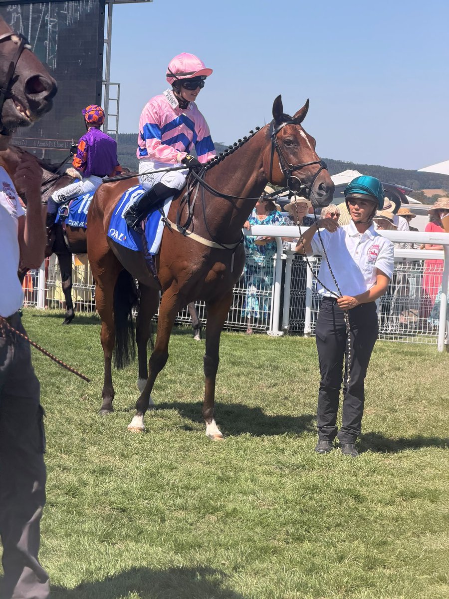 JimGoldieRacing's tweet photo. Trojan Sun’s going to our 1st runner @Goodwood_Races , Olivia Tubb rides! https://t.co/4qCdd3oi8A