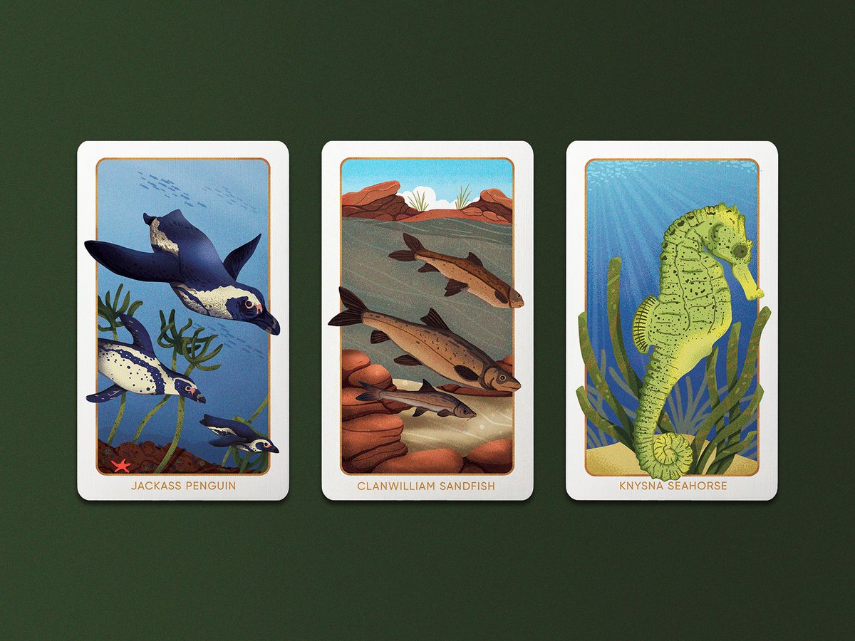studioMUTI's tweet photo. Life above and below the water 🐧 | Snap cards inspired by South Africa’s endangered species illustrated as an in-house project #studiomuti #illustration #SouthAfricanWildlife #EndangeredSpecies https://t.co/0JpKzObnPW