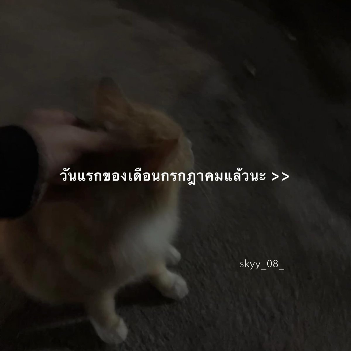 skyy_08_'s tweet photo. IG : @skyy_08_ 
.
.
.
#ฟีด #เธรดคำพูด #เธรดความรู้สึก #ความรัก  #ความรู้สึก https://t.co/itbIZh28YA