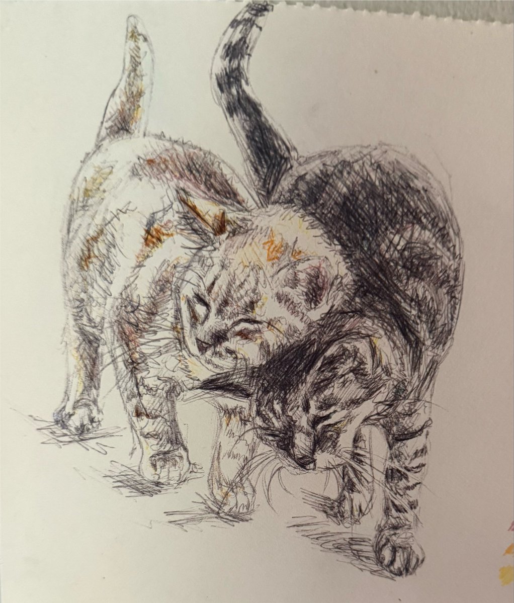 therapypuffin's tweet photo. kitties https://t.co/88E0s2CBv4
