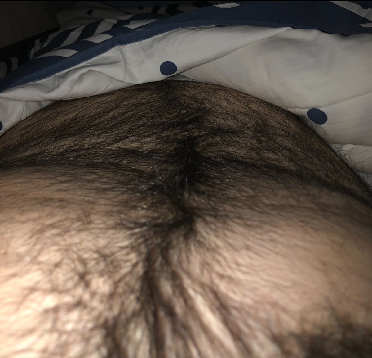 Escodravde's tweet photo. #hairy #top https://t.co/CWxDFfrhYs