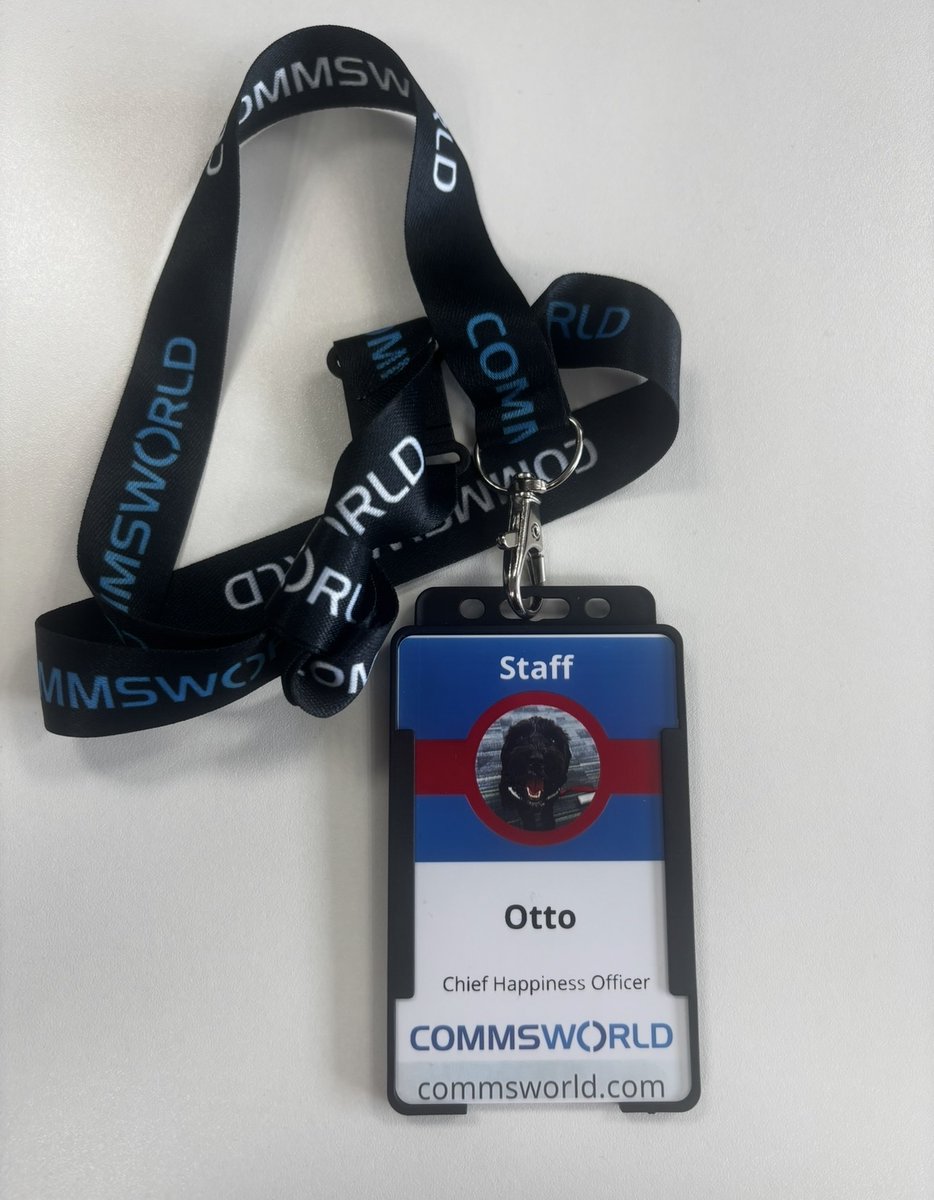 Commsworld's tweet photo. Meet Otto, our new Chief Happiness Officer. 

Always on hand to brighten the day, boost team morale, and make everyone smile, Otto has quickly become a much-loved member of the team! https://t.co/LUq3YhbmQj