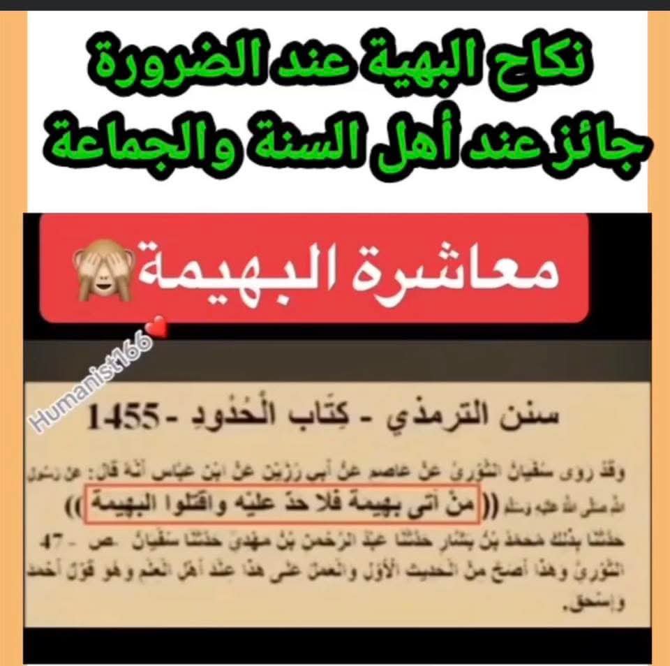AlhakeemH_'s tweet photo. @samiibnharb @MaggieKhozam المعــ/ ـفــن هو نـ ـبـ ـيك المـــ/ـــموم الو.سـ ـخ يا قــ ـذ.ر، المسيحية موجودة قبل ما نــ ـبــيك الز.. ا.ني القــ ـذ.ر يـجـي ويحــ ـلل كل الخــ ـtايا لأتــبا.عه اشــكـا.لـك يا و.لا د المـأ.جـ ـورة https://t.co/UDFnfB1d67