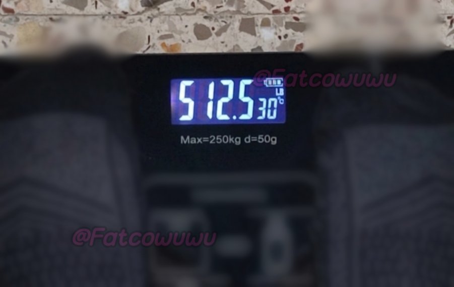 Fatcowuwu's tweet photo. More belly and weigh update 🤍 was at a friend's house and they had good scale so I thought why not check it, had been a while 😌 https://t.co/Q9BpKJ1kcp