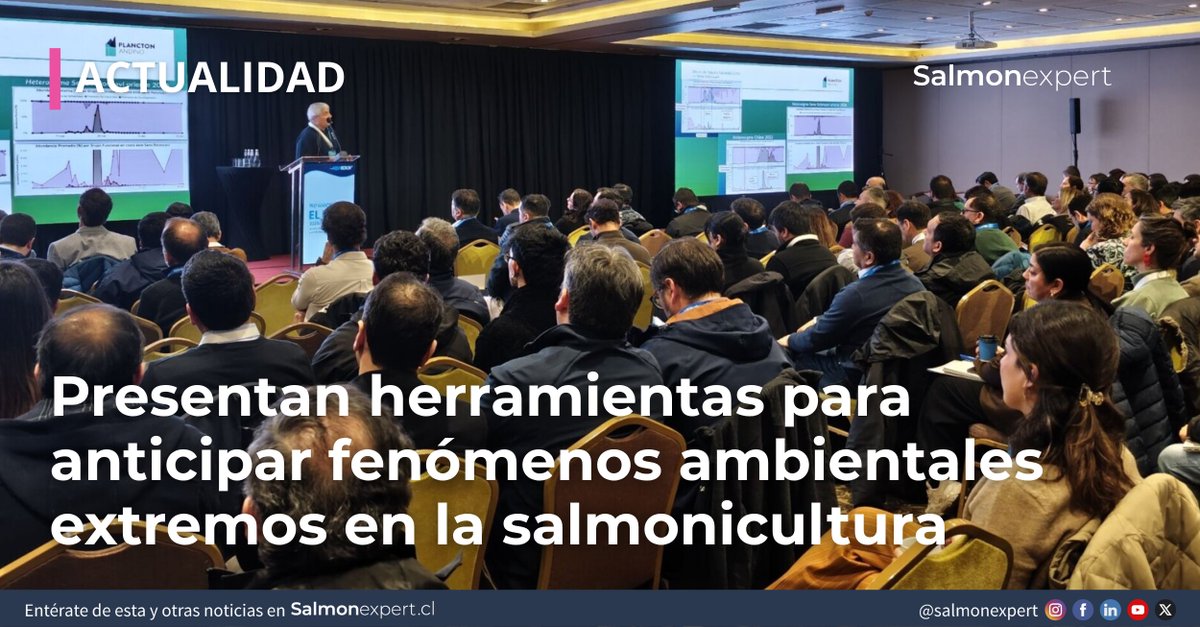 salmonexpert's tweet photo. El seminario organizado por Aquabench mostró cómo la salmonicultura ha fortalecido sus capacidades de monitoreo, modelación predictiva, mitigación y coordinación institucional para responder al evento de El Niño intenso y floraciones algales nocivas.

https://t.co/vdorPTCrMv https://t.co/ne3cO7600Q