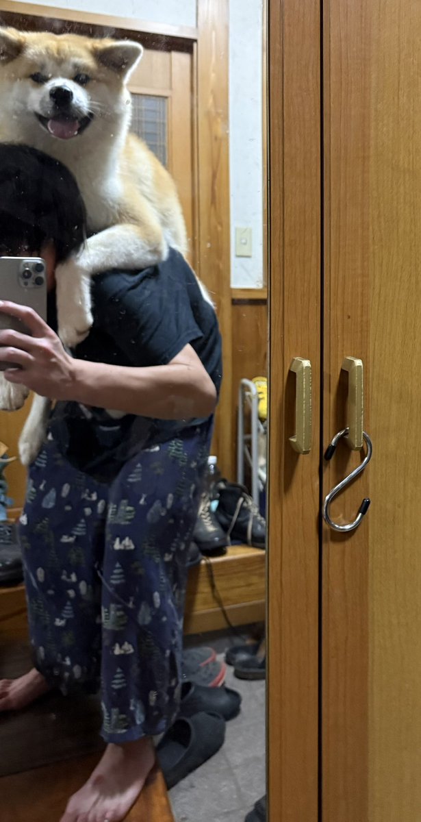 dokudoku0309's tweet photo. 昨日酔っ払いすぎて犬っておんぶできるのか？って🐶 https://t.co/s3wJamQsOR