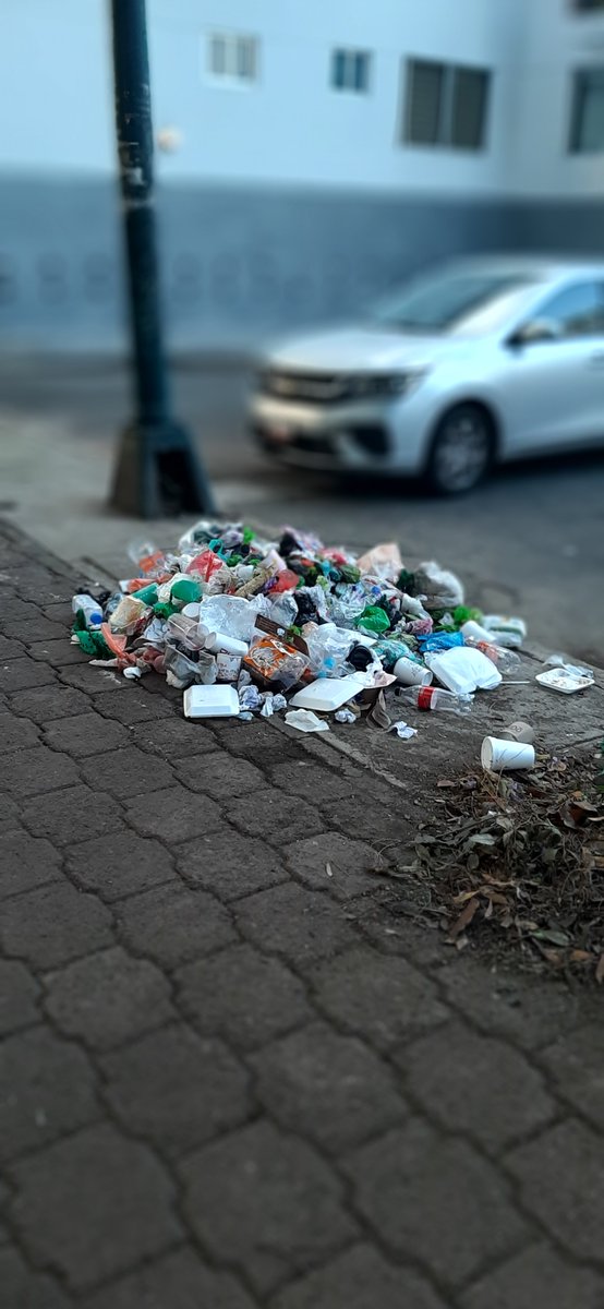 Mimisb2's tweet photo. @BJAlcaldia sigo reportando. Es en el parque Francisco Zarco. @LuisMendozaBJ https://t.co/45dJvN4Jok