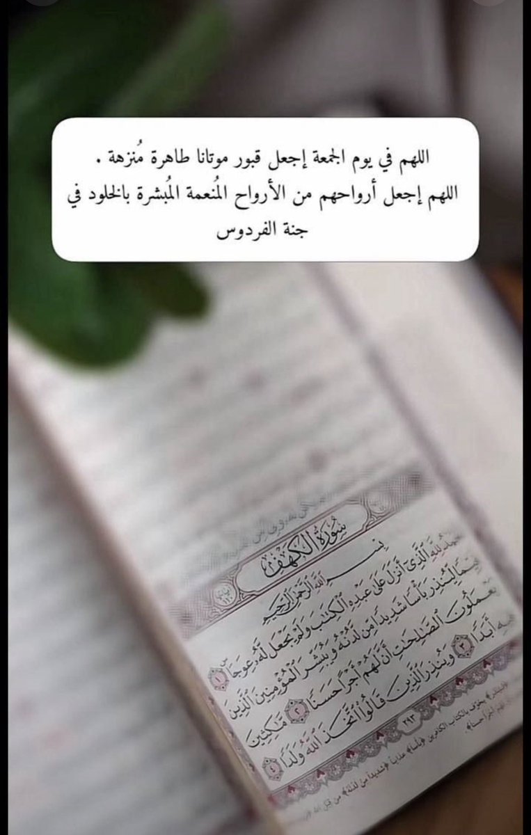 mazen0079's tweet photo. .

مساء الخير🤍

. https://t.co/owaxilySms