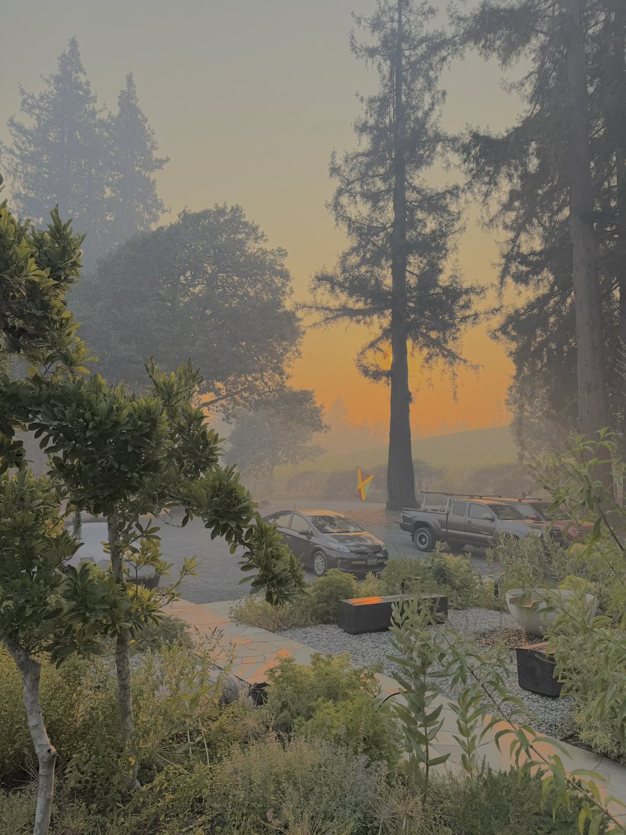 ArnoHarris's tweet photo. Arrived home after two weeks of travel to the “worst air quality in America.” #Woodside #WoodsideFire https://t.co/8JH3A6NLhc