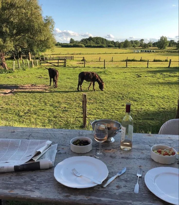 elyradream's tweet photo. simple life https://t.co/1aXTFdiKnV