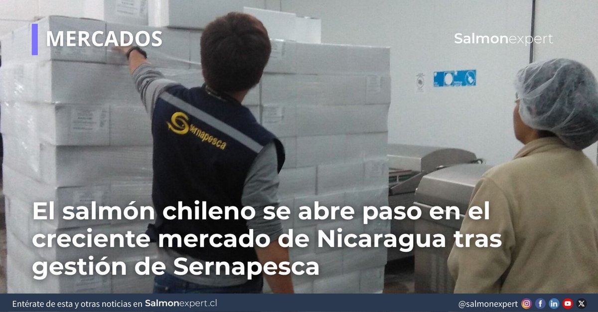 salmonexpert's tweet photo. La apertura del mercado de Nicaragua representa un nuevo destino para el salmón chileno y refleja el reconocimiento internacional del sistema sanitario y de certificación de Sernapesca, fortaleciendo las oportunidades de exportación para el sector. 
https://t.co/nsuDh0YXam https://t.co/L1MxH8wxPi