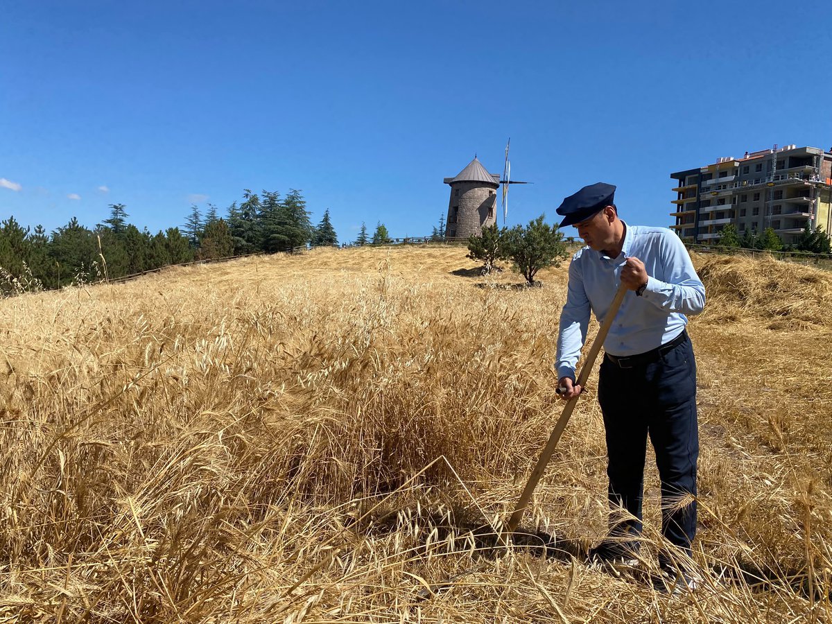 Fatih__Bildik's tweet photo. 📍#Altınköy Açık Hava Müzesi

Köy yaşantısının güzelliğini ve toprağın bereketini gözler önüne serildiği Geleneksel Altınköy Hasat Festivali ‘ne;

Genel Başkan Yardımcımız, Milletvekilimiz @DrOmerileri, önceki dönem Cumhurbaşkanı Yardımcımız, Milletvekilimiz @fuatoktay, Milletvekillerimiz @selvacam, @avademyildirim, Belediye Başkanımız @DrVeyselTiryaki, Tarım ve Orman Bakanlığı Bakan Müşaviri Elif Yeşim Çağlar, Yönetim Kurulu Üyelerimiz, Meclis Üyelerimiz, Muhtarlarımız ve değerli ilçe sakinlerimiz ile katıldık.

Köy hayatında toprağı işlemenin, üretimin ve alın terinin önemini idrak ettiğimiz bu anlamlı ve kıymetli organizasyon için Belediye Başkanımız @DrVeyselTiryaki ‘ye ve Altındağ Belediyemize teşekkür ederiz.

#KalbimizAltındağ 

@akaltindag 
@altindagbel