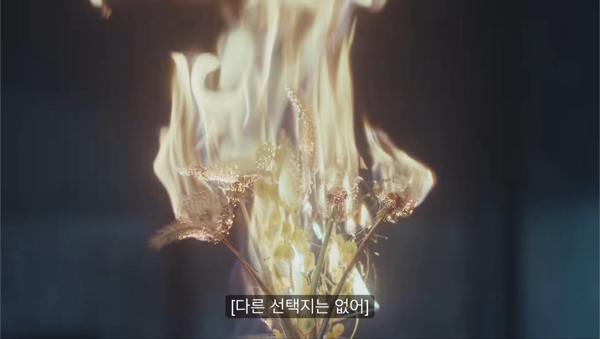 ensane242's tweet photo. 이번 트레일러에 민들레홀씨 되게 자주 나오는데 꽃말이 이별이래 https://t.co/DCYd235vS5