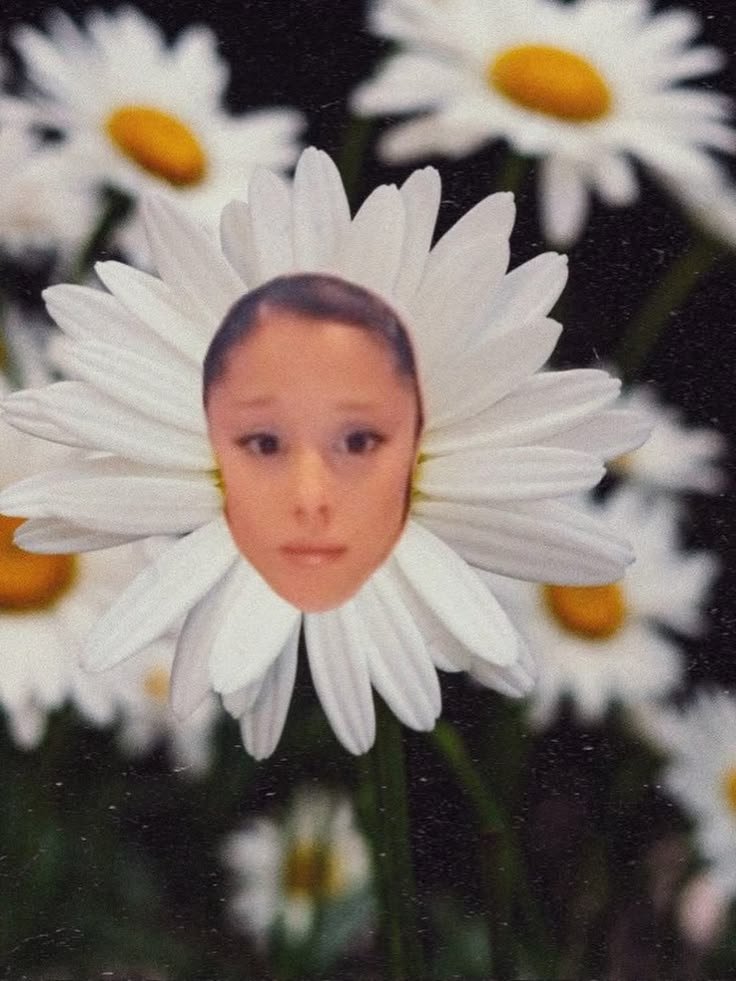 enjwnk's tweet photo. petal day https://t.co/q2jMbOOztm