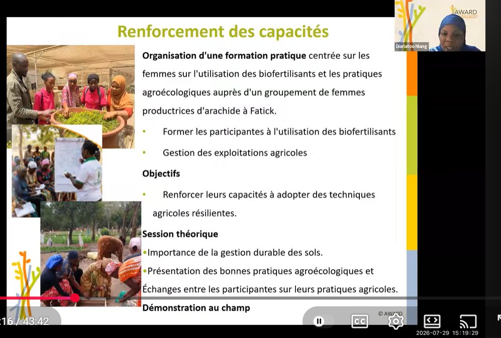 AWARDFellowship's tweet photo. How do we build climate resilience for women in agriculture?
Catch up on our latest #KnowledgeCafe
Dr. Niang Diariatou, AWARD Climate Fellow, shares practical gender-responsive solutions strengthening climate resilience among Senegalese women peanut producers.
๐ฅ Watch here: https://t.co/agkBcqTtST.
#ClimateAdaptationResilience