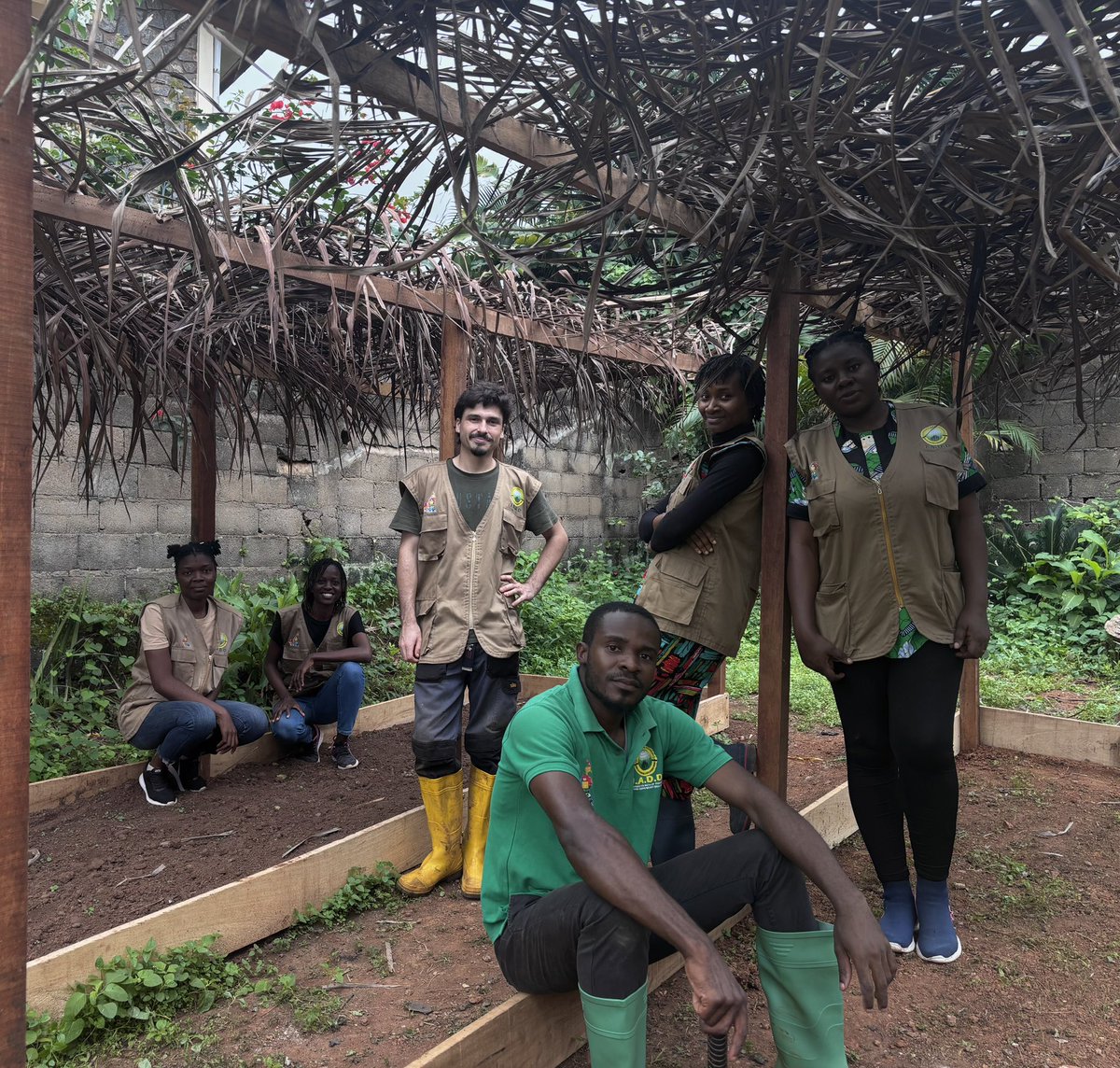 ong_jadd's tweet photo. 🌱 Le projet #ÉcolesVertes avance ! Aujourd’hui, JADD a finalisé la structure de sa pépinière. Prochaine étape : préparer un engrais naturel puis lancer les premières plantations pour sensibiliser les jeunes à l’agroforesterie. #Biodiversité #Cameroun #ODD https://t.co/T5nJpwxWEA