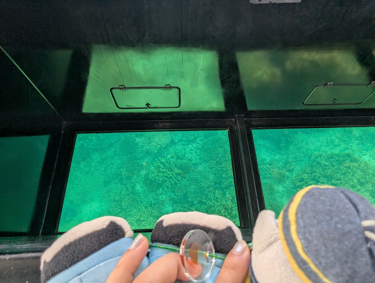 aaakoof0817's tweet photo. グラスボートにも乗りました🛥️
ウミガメさんに会えました〜🐢✨✨
（ふかいところと あさいところ それぞれちがいますね）
（ｼﾀﾏﾃﾞﾐｴﾙﾅ!!） https://t.co/a31Ip6qamA