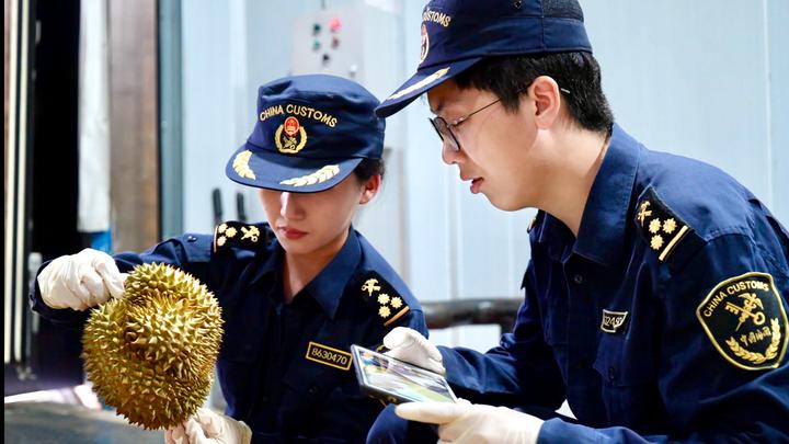 XHIndonesia's tweet photo. Saat durian Asia Tenggara memasuki musim penjualan puncaknya, durian-durian segar dari kawasan tersebut diangkut ke China melalui Lancang-Mekong Express, layanan angkutan kargo rantai dingin internasional yang beroperasi di Jalur Kereta China-Laos https://t.co/KHGgLa5jDf https://t.co/TbuODvzRc1