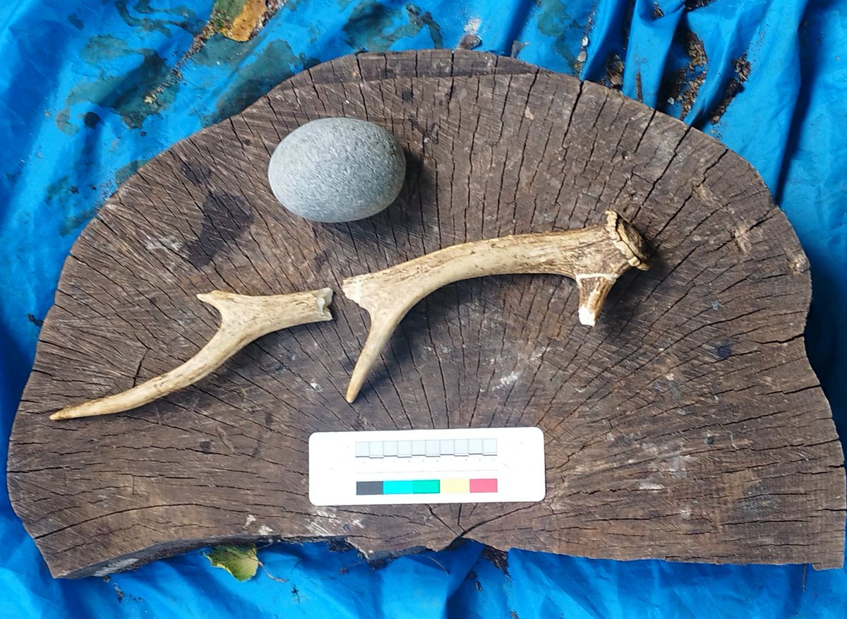 aliciasanzroyo's tweet photo. Dr. Will Mills, @PrehistoricEdge, and I are working on something really exciting! 😎
Hint: antlers 🦌 + flint 🪨 + Upper Palaeolithic 🧐
Stay tuned!!
#FlintFriday #FossilFriday https://t.co/TC2zAGCeVa