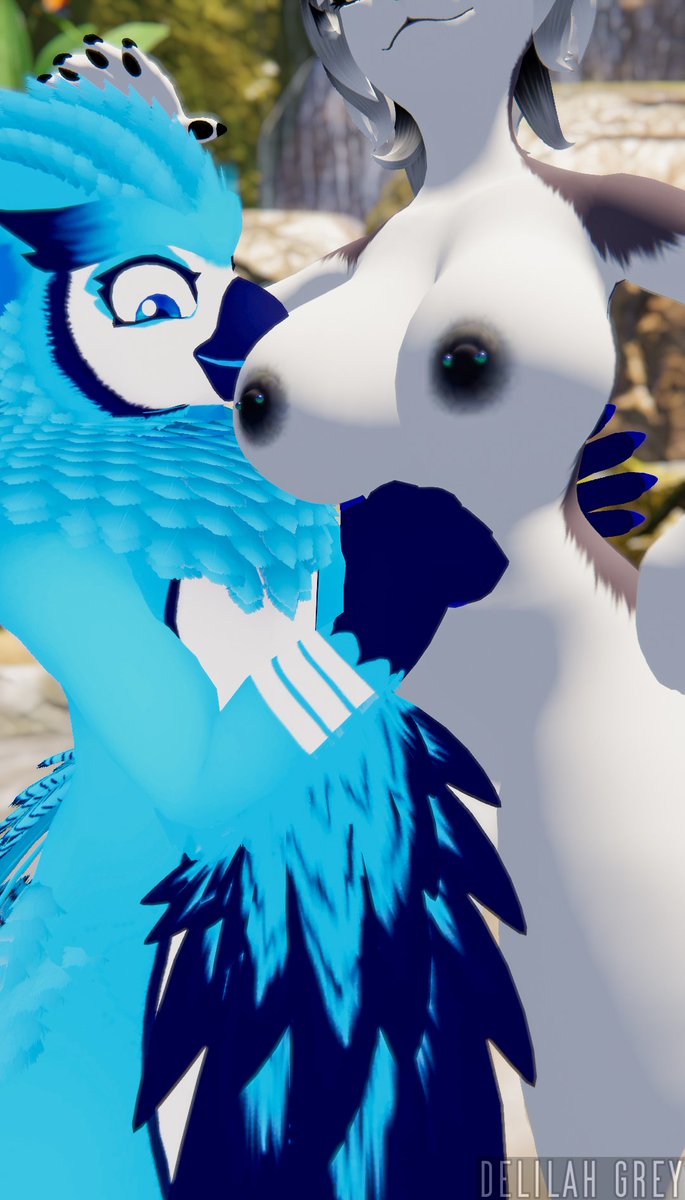 DelilahGreyNSFW's tweet photo. "Was on vacation and this cute bird @Heanieweenie flew over to see me." 🦜

"Hope they don't get too excited..." 😳

#furry #vrc #vrlewd #yiff #hentai #nsfw #lewd https://t.co/Yzk2KZxT8n