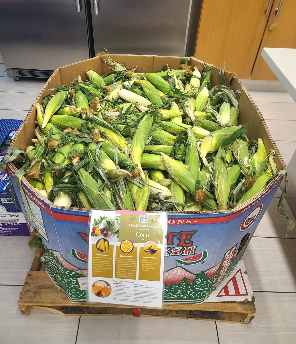 owenmiller75's tweet photo. Hungry @UVU students should get to the Student Life & Wellness Center (SLWC) for Fresh Food Friday! 😀
#UVU
#UVUcares
#UtahValley
#APlaceForYou
#APlaceForFood
#FreeFoodFriday
#FreshFoodFriday
#FreshFoodFridays https://t.co/AR2kqHO683