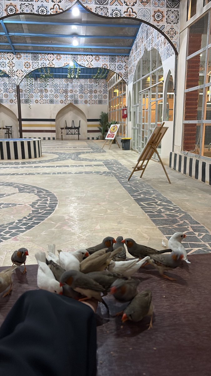 dreemv8's tweet photo. اجمل صور اخذتها في مدينة الاحساء <<اعلن حبي لها 🌷🌷 https://t.co/pxM1lnhrFE