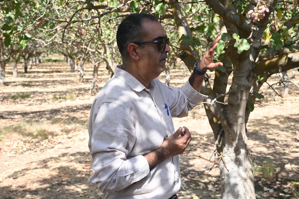 FSJordanCollege's tweet photo. Dr. Gurreet Brar, Associate Professor of Plant Science, was recently featured on KVPR, sharing insight about the Central Valley pistachio industry. 🌱

Read more at https://t.co/m7IVHCoVH0 https://t.co/3gbL9fergM