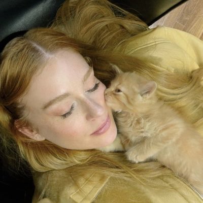 EdnaldoFonseca_'s tweet photo. Hoje, 31 de Julho, é o Dia Nacional do Vira Lata, ratificando a importância da adoção responsável, o combate ao abandono e à valorização dos animais SRD (sem raça definida). A adoção transforma não apenas a vida do resgatado mas a de quem adota.
📸 @mariruybarbosa parabéns por falar sobre o assunto e adotar!