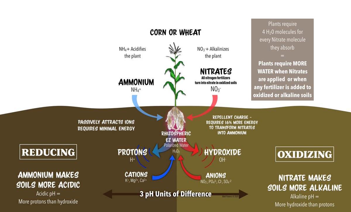 MattPowersSoil's tweet photo. Using Hot #Compost? That's almost always high in N if it's "good compost", but that may be costing 4x the water!!! Use #RegenerativeSoil & Transform That Compost Quick!! Learn How: https://t.co/r8mqJO9eJS https://t.co/E8iRxOr6hP